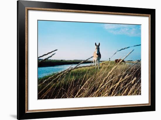 In the Saltworks, Noirmoutier island, Vendee, Pays de la Loire, France-null-Framed Premium Giclee Print