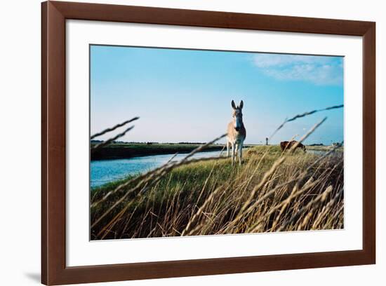 In the Saltworks, Noirmoutier island, Vendee, Pays de la Loire, France-null-Framed Premium Giclee Print