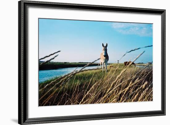 In the Saltworks, Noirmoutier island, Vendee, Pays de la Loire, France-null-Framed Premium Giclee Print