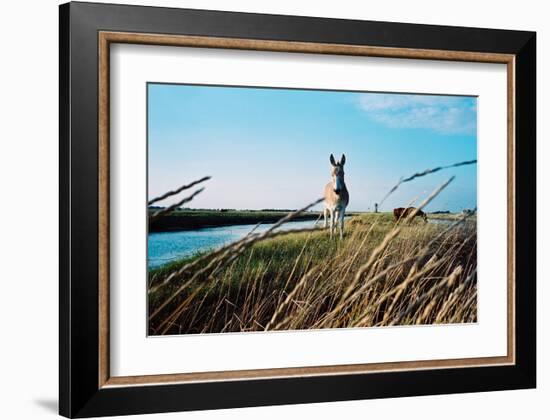 In the Saltworks, Noirmoutier island, Vendee, Pays de la Loire, France-null-Framed Art Print