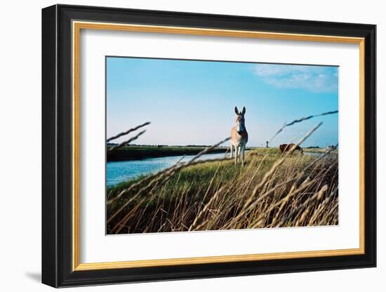 In the Saltworks, Noirmoutier island, Vendee, Pays de la Loire, France-null-Framed Art Print