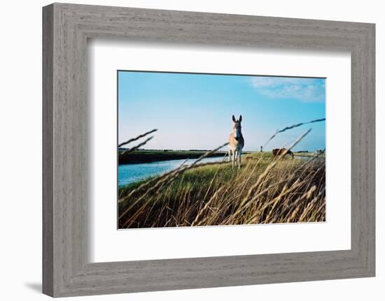 In the Saltworks, Noirmoutier island, Vendee, Pays de la Loire, France-null-Framed Art Print