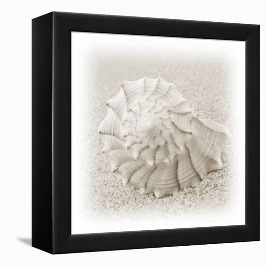 In the Sand I-Jim Christensen-Framed Premier Image Canvas