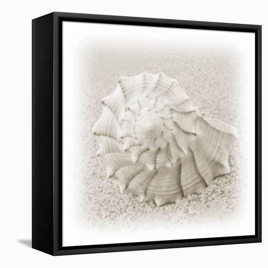 In the Sand I-Jim Christensen-Framed Premier Image Canvas