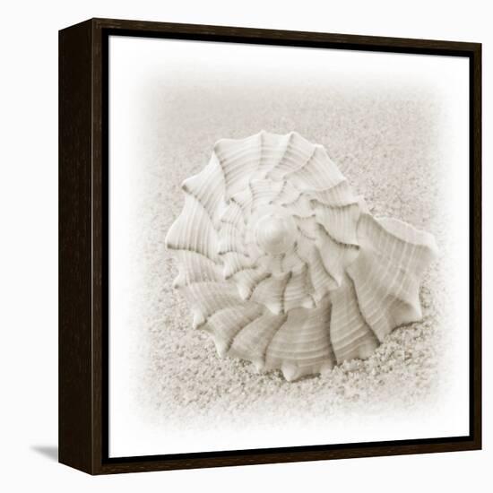 In the Sand I-Jim Christensen-Framed Premier Image Canvas