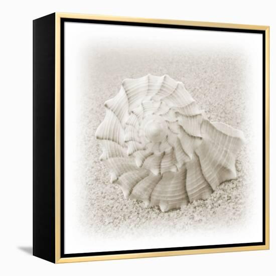 In the Sand I-Jim Christensen-Framed Premier Image Canvas