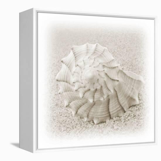 In the Sand I-Jim Christensen-Framed Premier Image Canvas