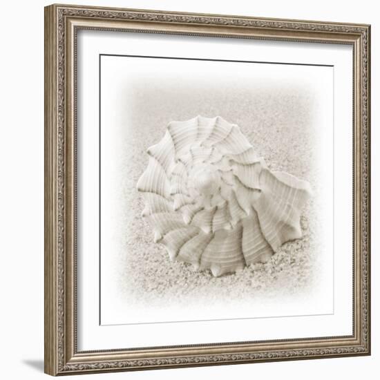 In the Sand I-Jim Christensen-Framed Photographic Print