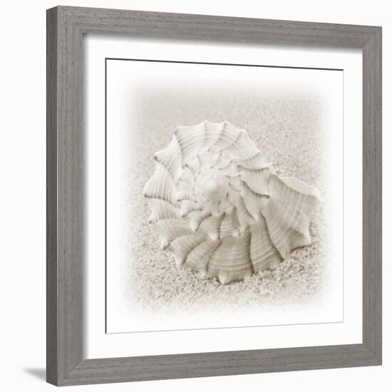 In the Sand I-Jim Christensen-Framed Photographic Print