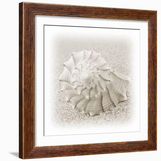 In the Sand I-Jim Christensen-Framed Photographic Print