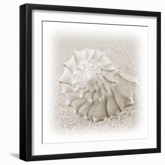 In the Sand I-Jim Christensen-Framed Photographic Print