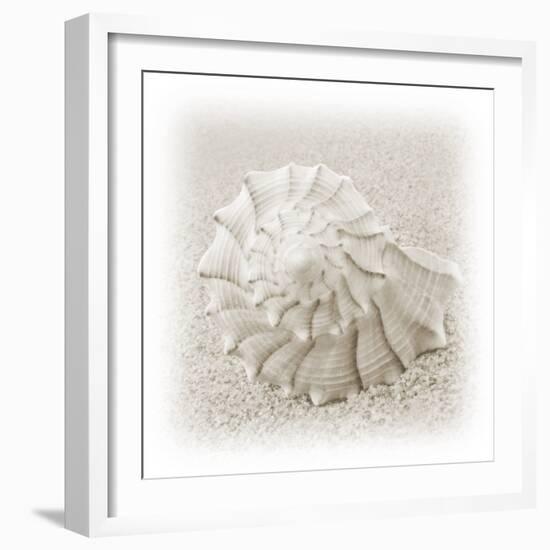 In the Sand I-Jim Christensen-Framed Photographic Print