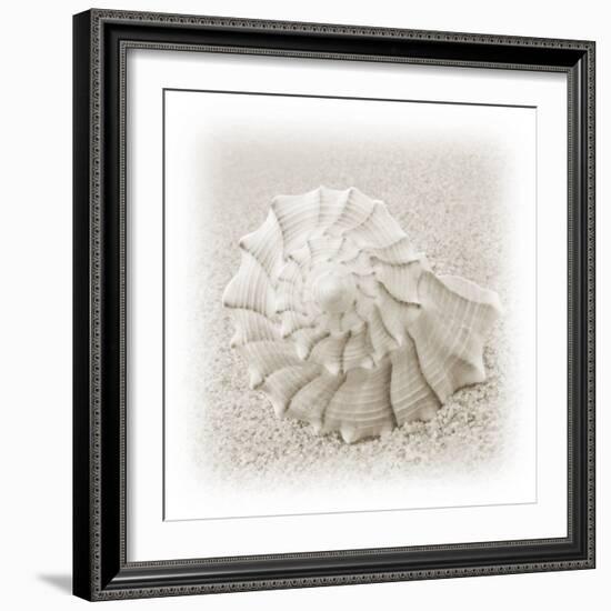 In the Sand I-Jim Christensen-Framed Photographic Print