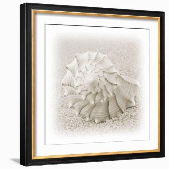 In the Sand I-Jim Christensen-Framed Photographic Print