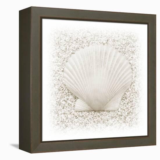 In the Sand II-Jim Christensen-Framed Premier Image Canvas