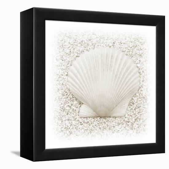 In the Sand II-Jim Christensen-Framed Premier Image Canvas