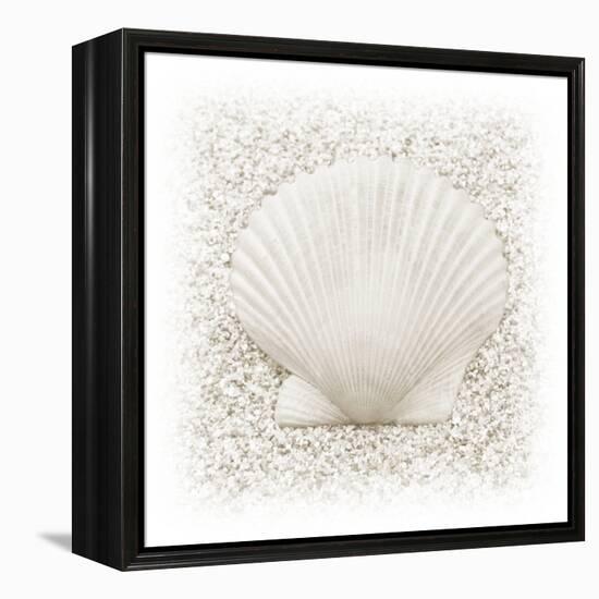 In the Sand II-Jim Christensen-Framed Premier Image Canvas