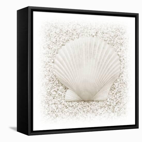 In the Sand II-Jim Christensen-Framed Premier Image Canvas