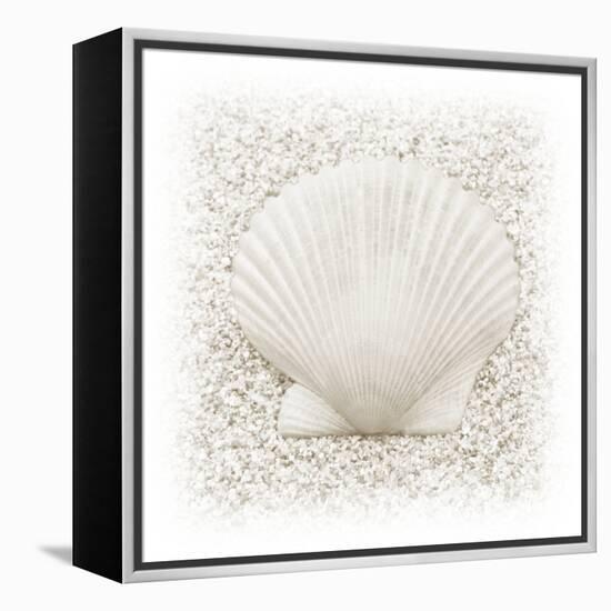 In the Sand II-Jim Christensen-Framed Premier Image Canvas