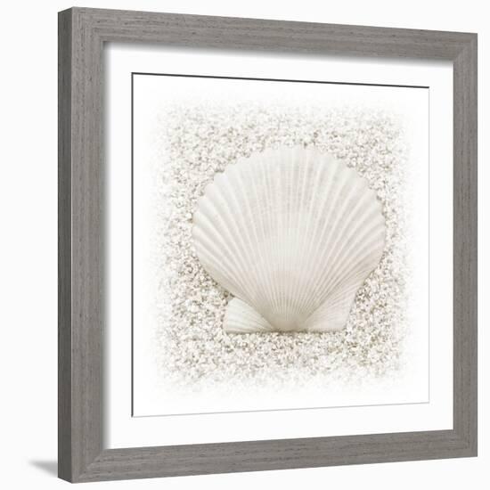 In the Sand II-Jim Christensen-Framed Photographic Print