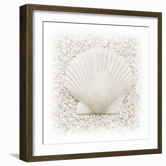 In the Sand II-Jim Christensen-Framed Photographic Print