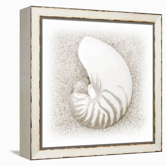 In the Sand III-Jim Christensen-Framed Premier Image Canvas