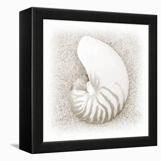 In the Sand III-Jim Christensen-Framed Premier Image Canvas