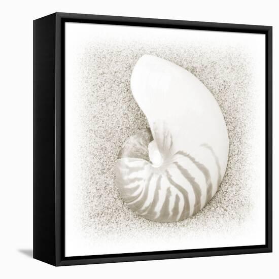 In the Sand III-Jim Christensen-Framed Premier Image Canvas