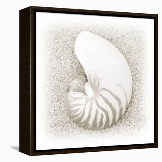 In the Sand III-Jim Christensen-Framed Premier Image Canvas