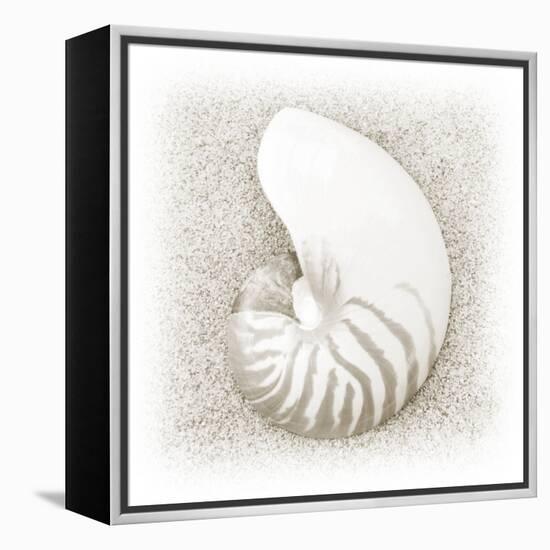 In the Sand III-Jim Christensen-Framed Premier Image Canvas