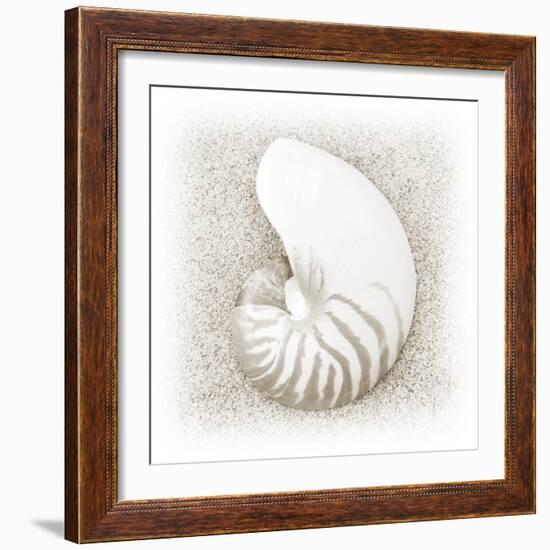 In the Sand III-Jim Christensen-Framed Photographic Print