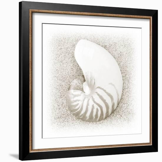 In the Sand III-Jim Christensen-Framed Photographic Print