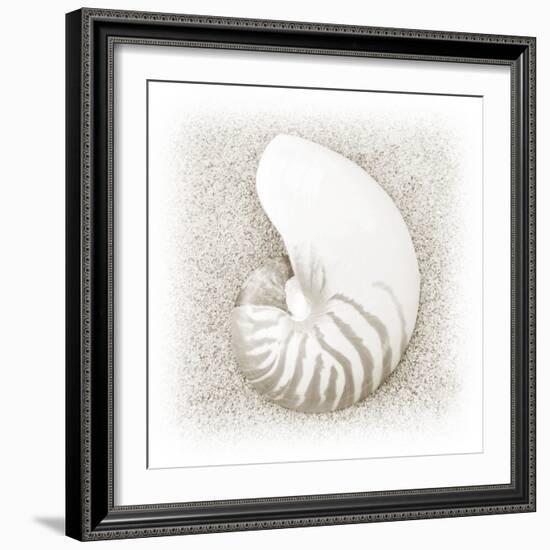 In the Sand III-Jim Christensen-Framed Photographic Print