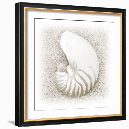 In the Sand III-Jim Christensen-Framed Photographic Print