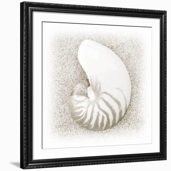 In the Sand III-Jim Christensen-Framed Photographic Print