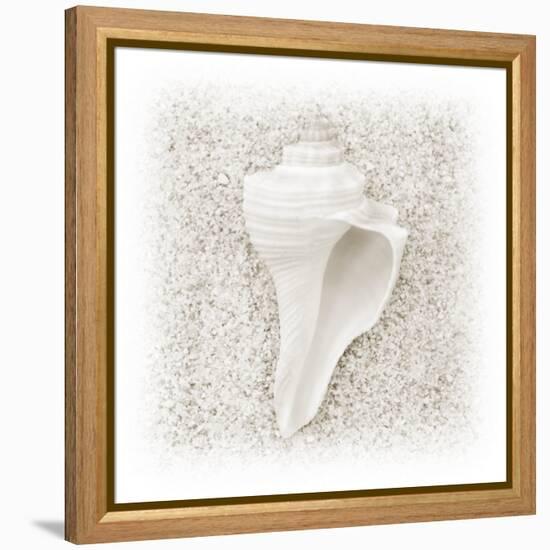 In the Sand IV-Jim Christensen-Framed Premier Image Canvas