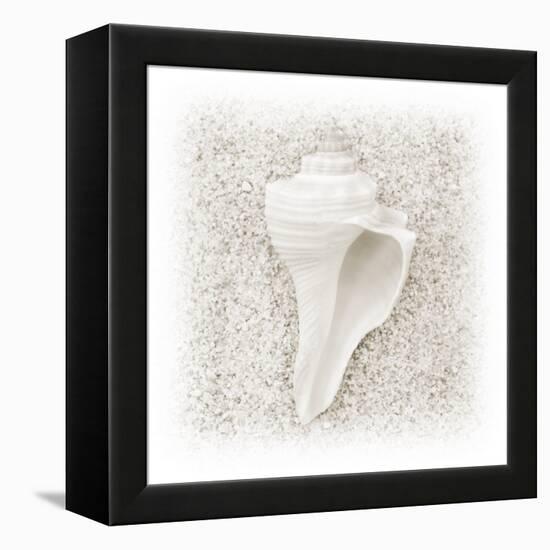 In the Sand IV-Jim Christensen-Framed Premier Image Canvas