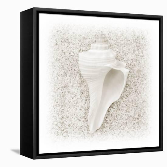 In the Sand IV-Jim Christensen-Framed Premier Image Canvas