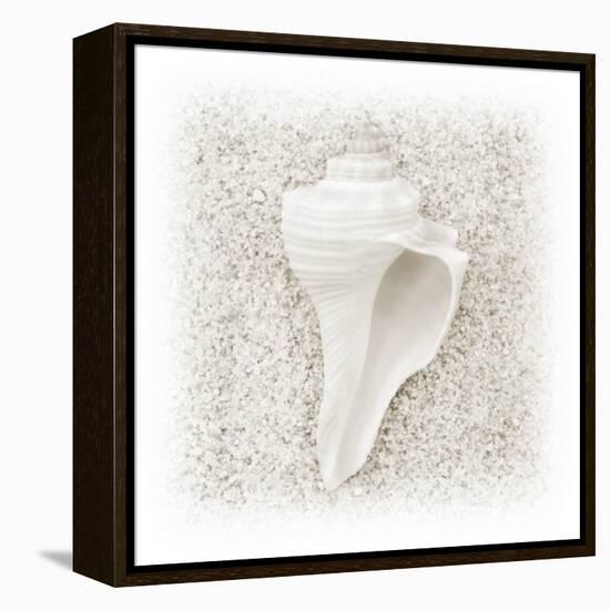 In the Sand IV-Jim Christensen-Framed Premier Image Canvas