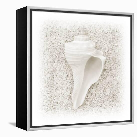 In the Sand IV-Jim Christensen-Framed Premier Image Canvas