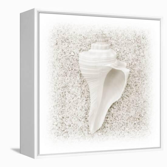 In the Sand IV-Jim Christensen-Framed Premier Image Canvas