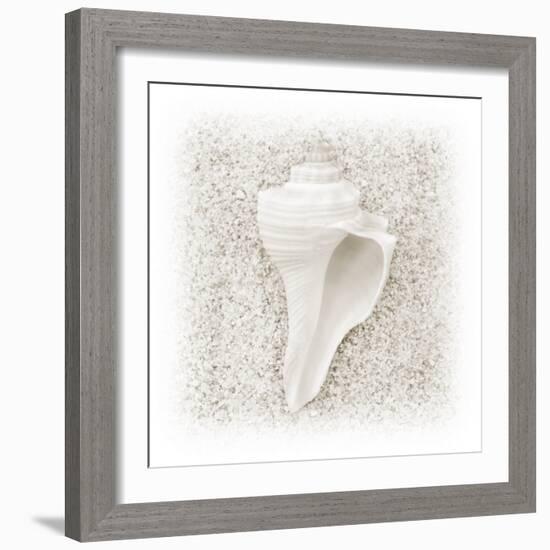 In the Sand IV-Jim Christensen-Framed Photographic Print