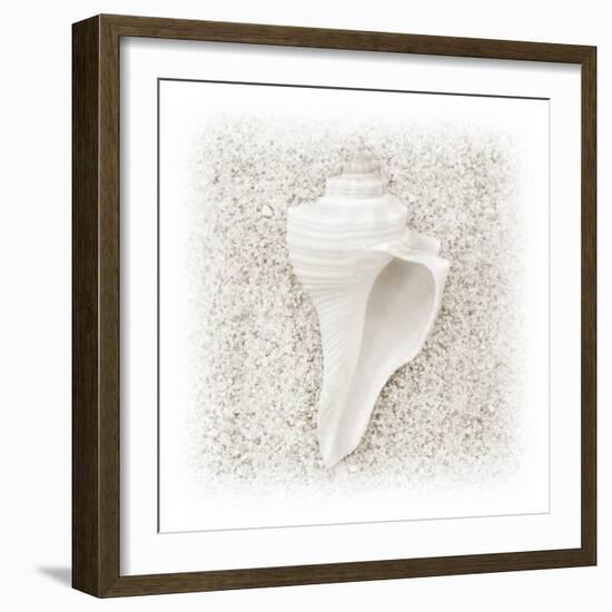 In the Sand IV-Jim Christensen-Framed Photographic Print