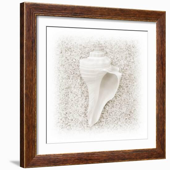 In the Sand IV-Jim Christensen-Framed Photographic Print