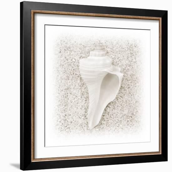 In the Sand IV-Jim Christensen-Framed Photographic Print