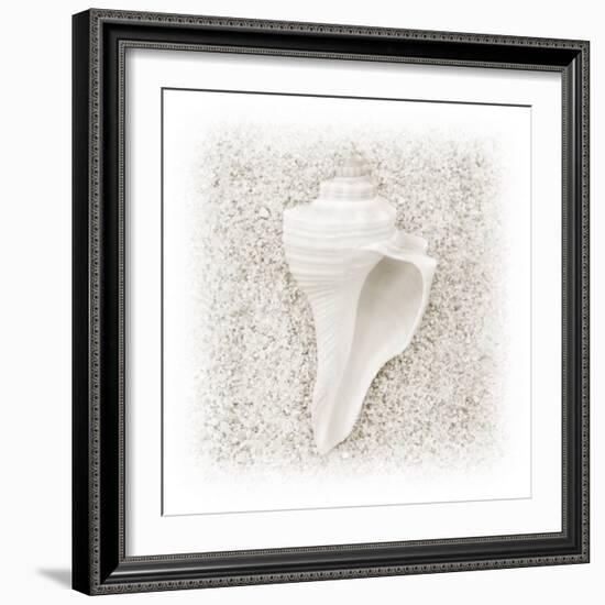 In the Sand IV-Jim Christensen-Framed Photographic Print