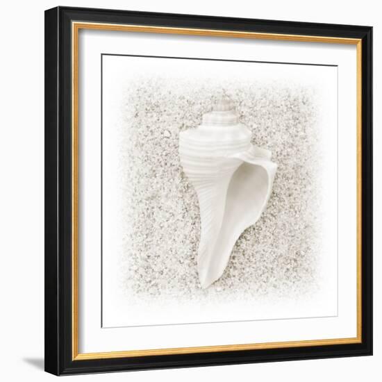 In the Sand IV-Jim Christensen-Framed Photographic Print