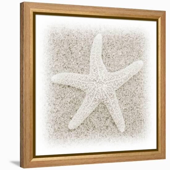 In the Sand V-Jim Christensen-Framed Premier Image Canvas