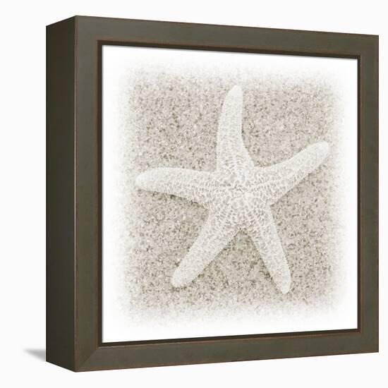 In the Sand V-Jim Christensen-Framed Premier Image Canvas