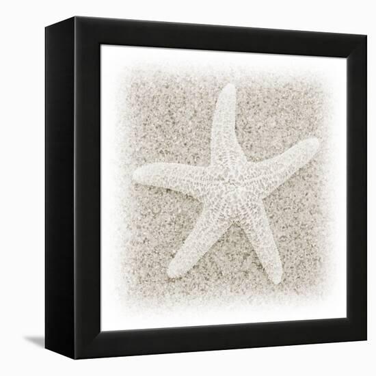 In the Sand V-Jim Christensen-Framed Premier Image Canvas